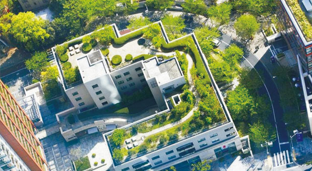 鄭州市鄭東新區(qū)如意湖轄區(qū)屋頂綠化建設(shè)項目